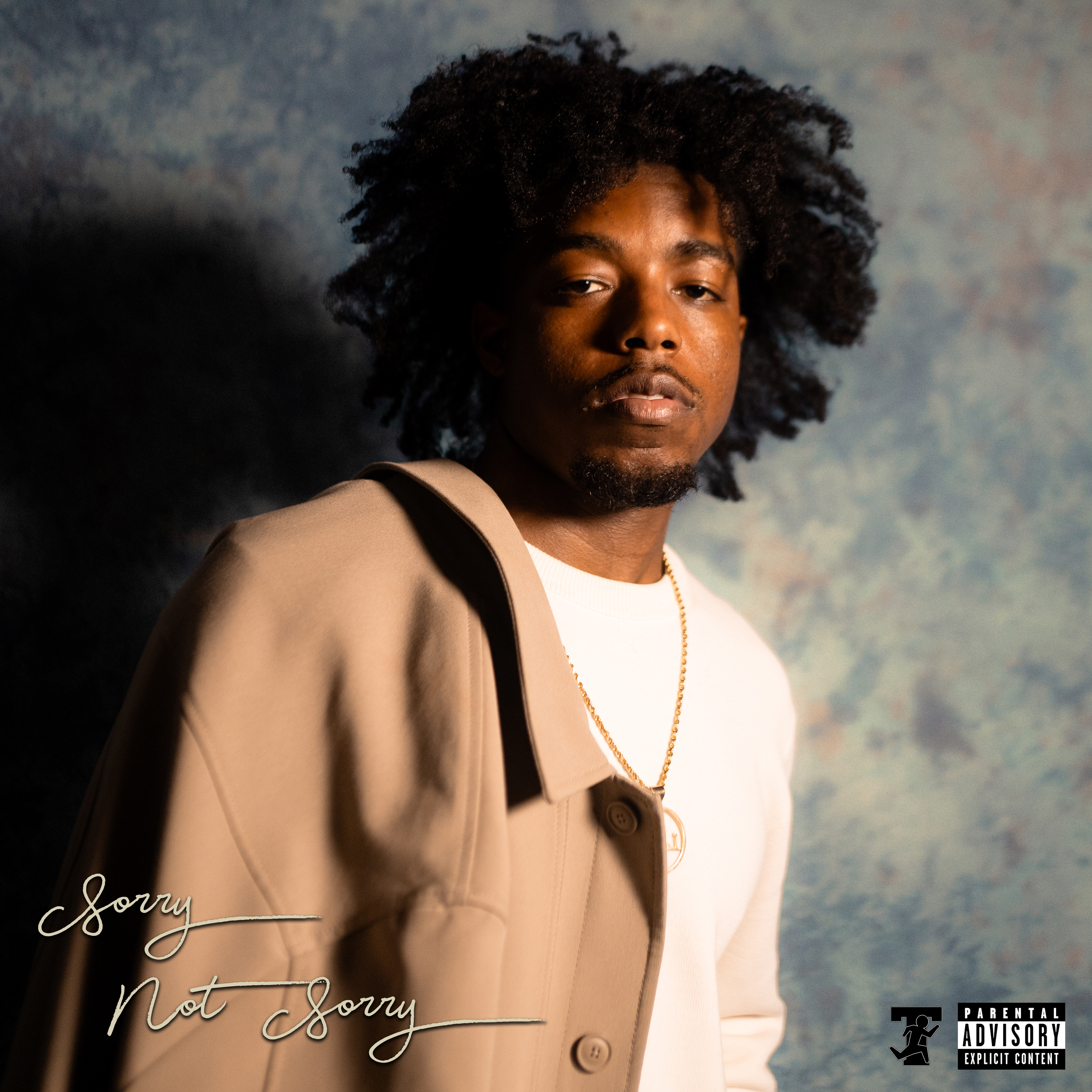 Sorry Not Sorry - Single cover