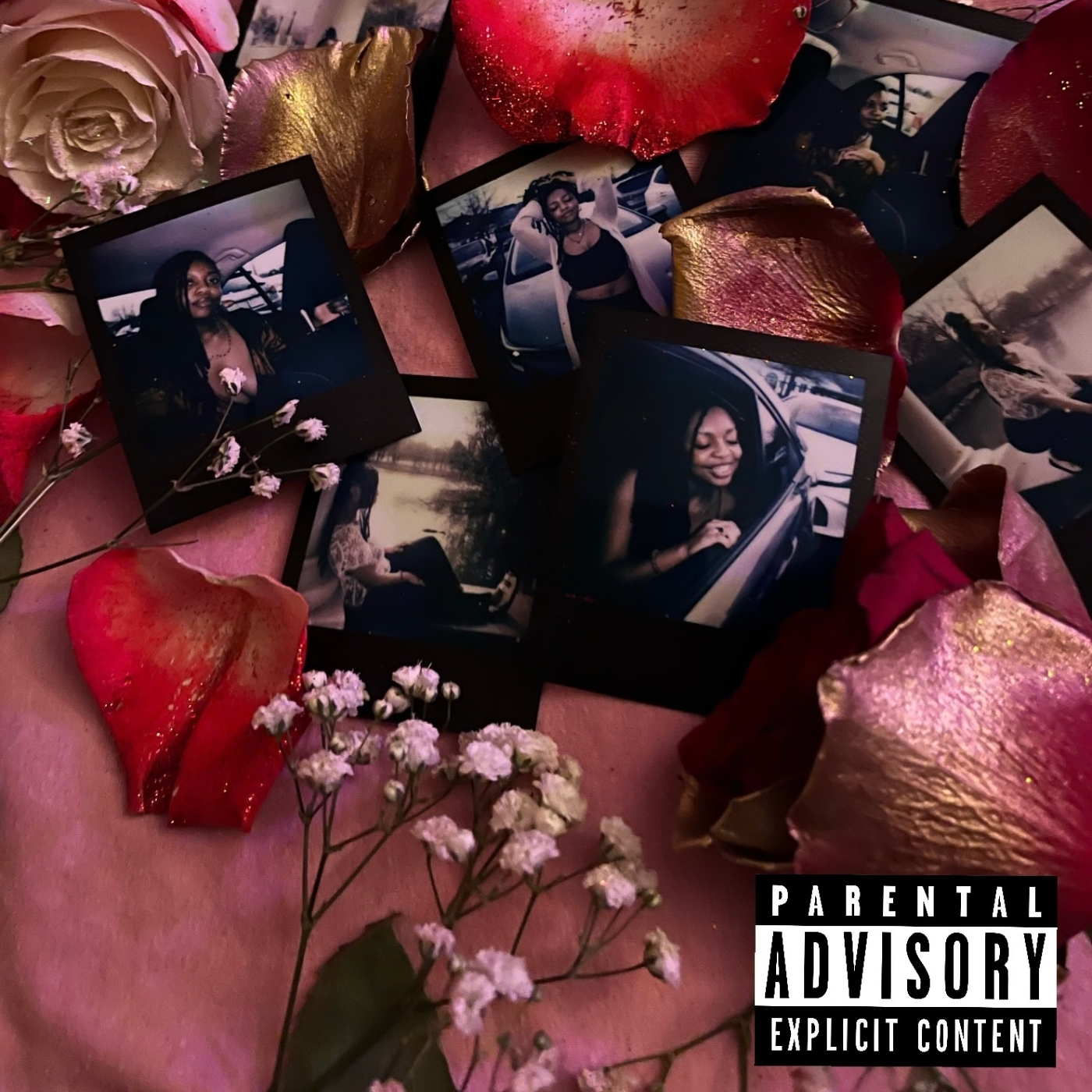 Roses In The Air - Single cover